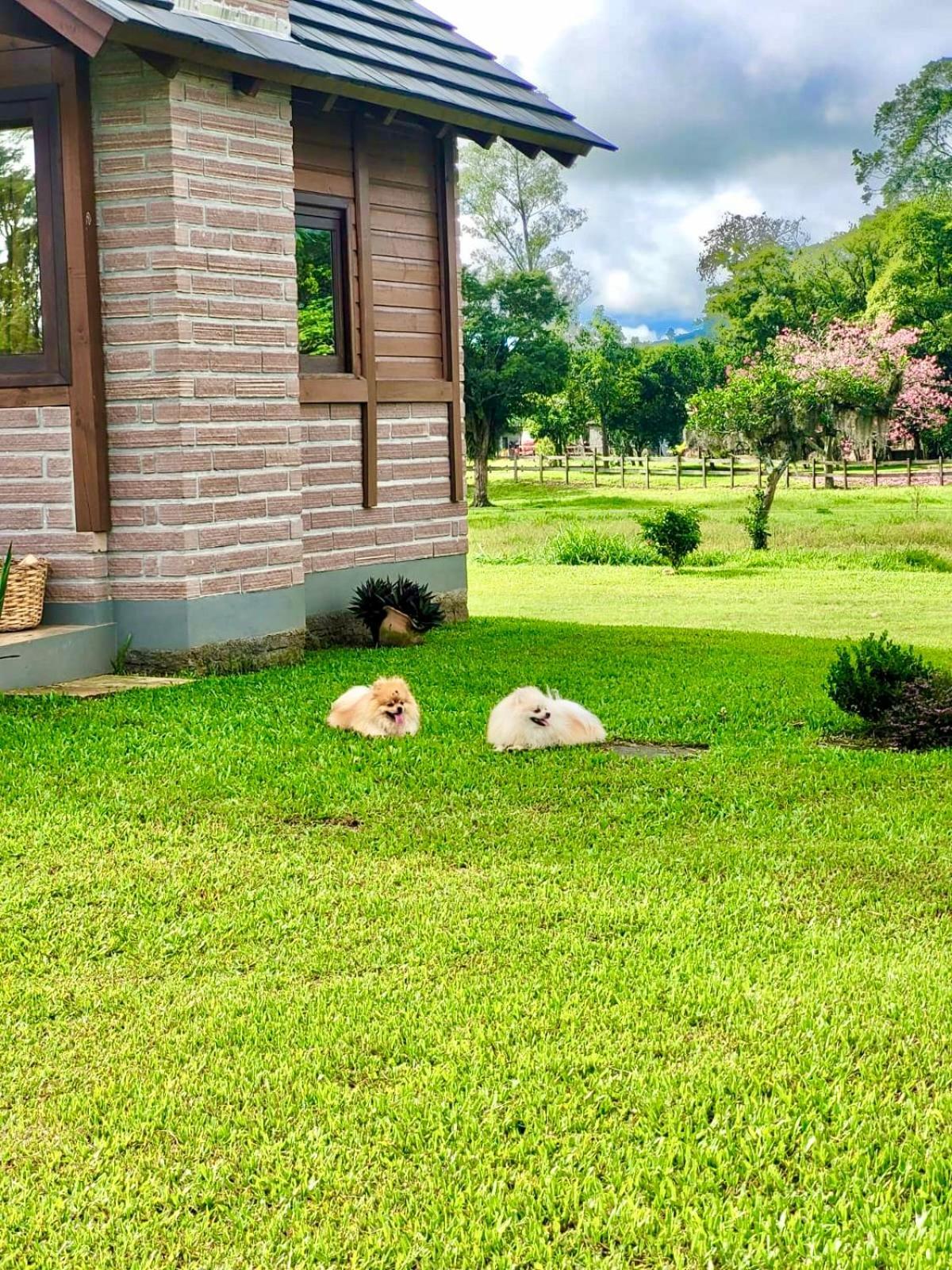 Cabanas Vale Verde Прая Гранде Екстериор снимка